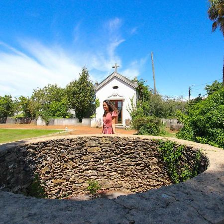 Quinta Da Aldeia De Avanca Esterno foto