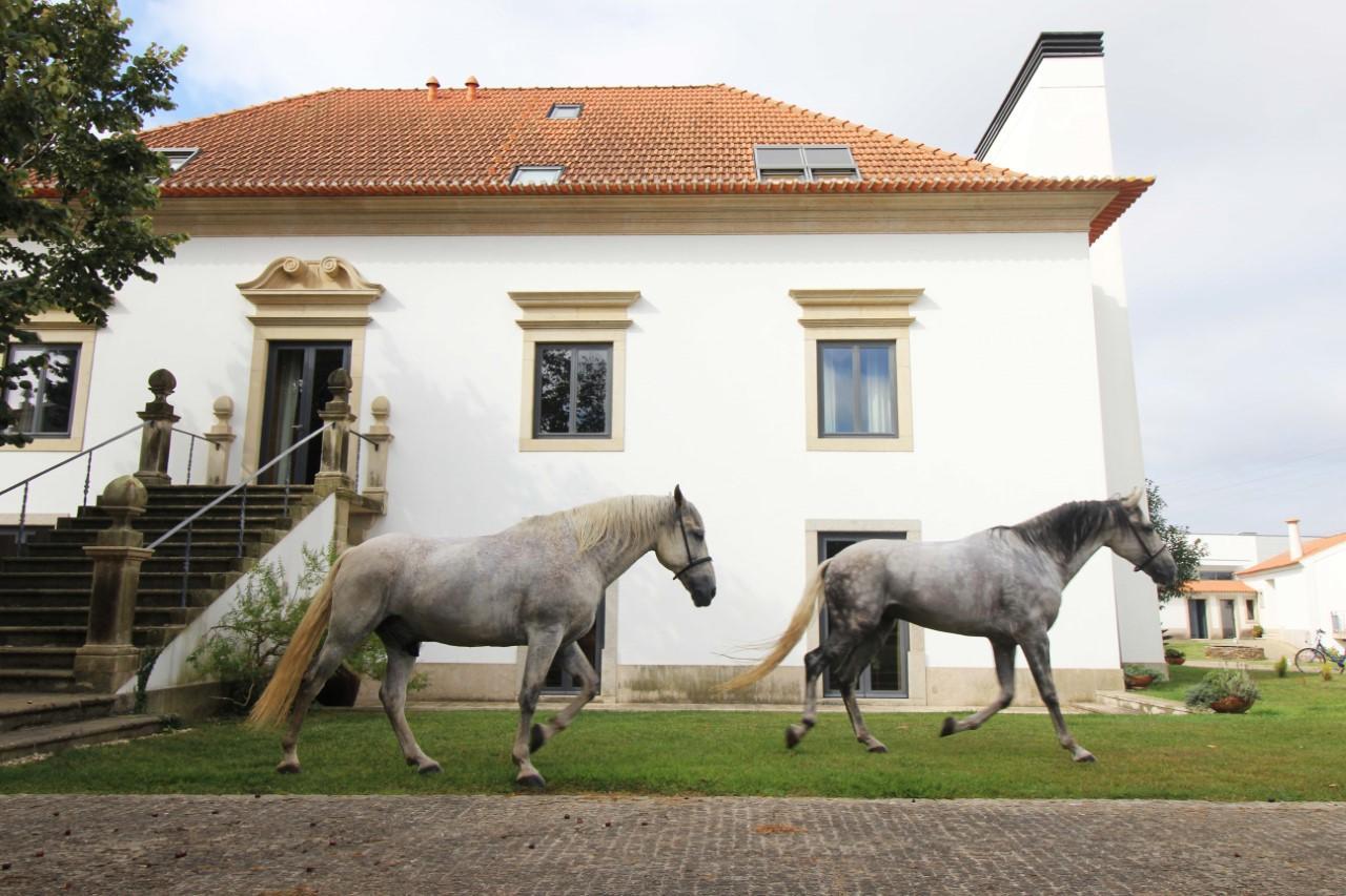 Quinta Da Aldeia De Avanca Esterno foto